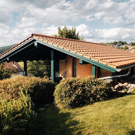 Holiday Home With Whirlpool And Sauna In Viechtach Extérieur photo