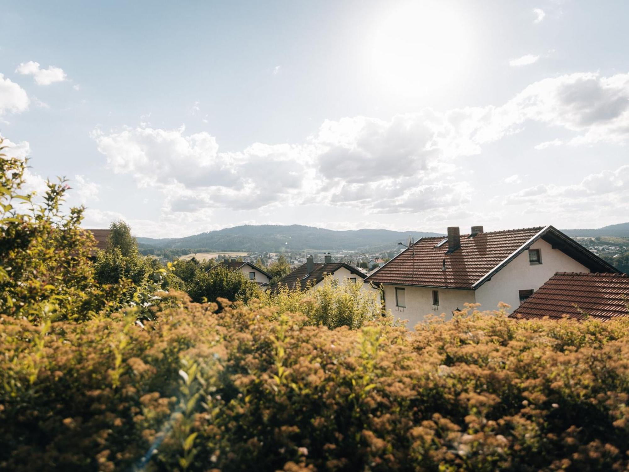 Holiday Home With Whirlpool And Sauna In Viechtach Extérieur photo